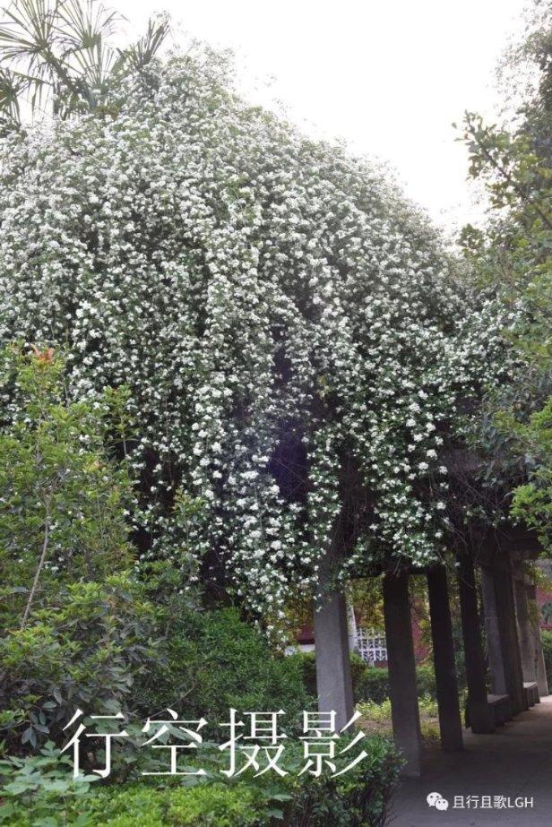 半条命：恐惧之泣